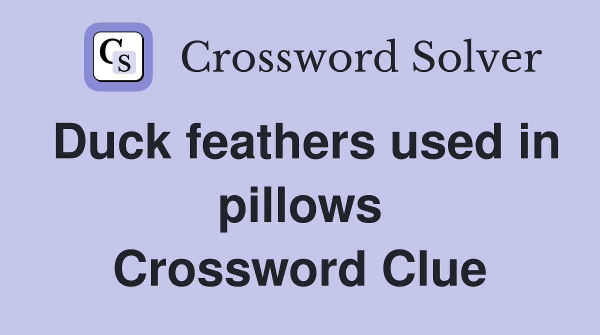 Duck feathers used in pillows Crossword Clue
