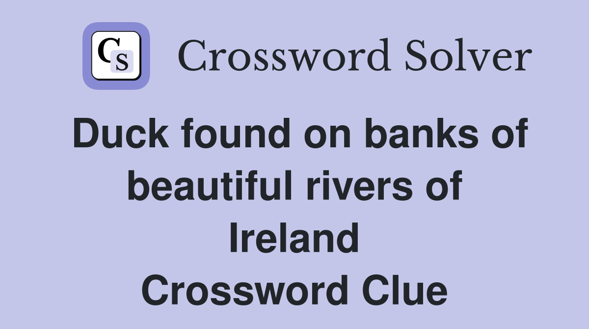 Duck found on banks of beautiful rivers of Ireland Crossword Clue