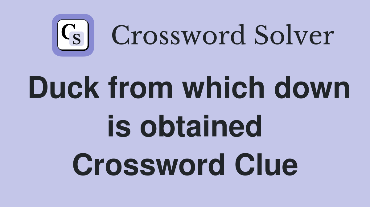 Duck from which down is obtained Crossword Clue