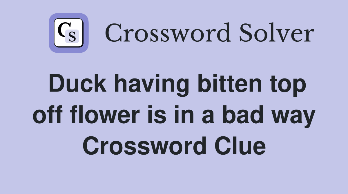 Duck having bitten top off flower is in a bad way Crossword Clue