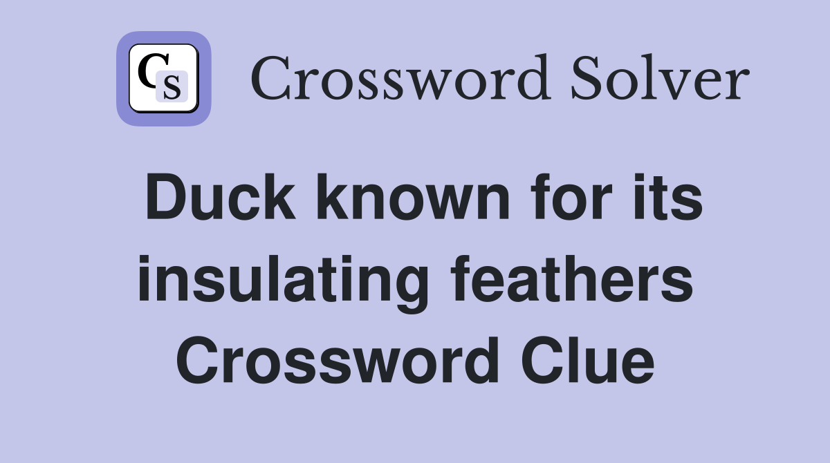 Duck known for its insulating feathers Crossword Clue