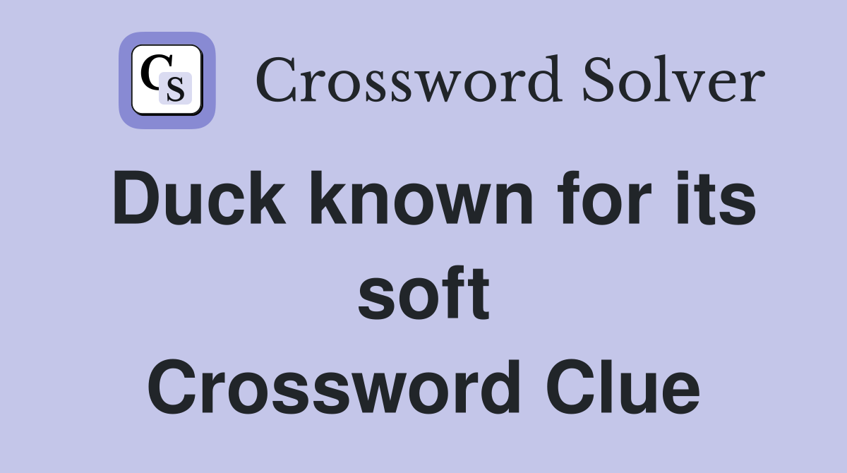 Duck known for its soft Crossword Clue