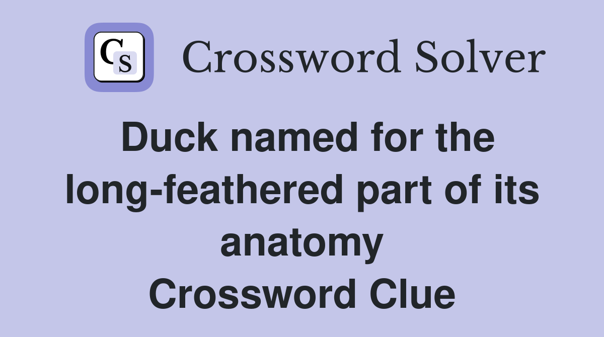 Duck named for the long-feathered part of its anatomy Crossword Clue