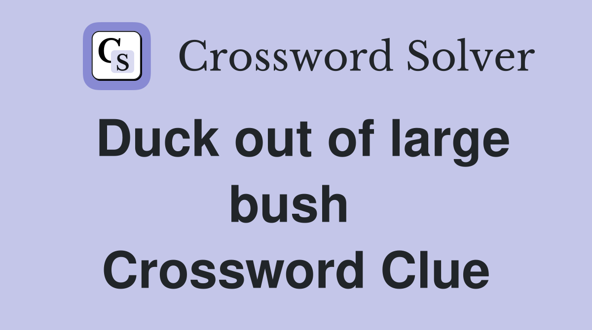 Duck out of large bush  Crossword Clue
