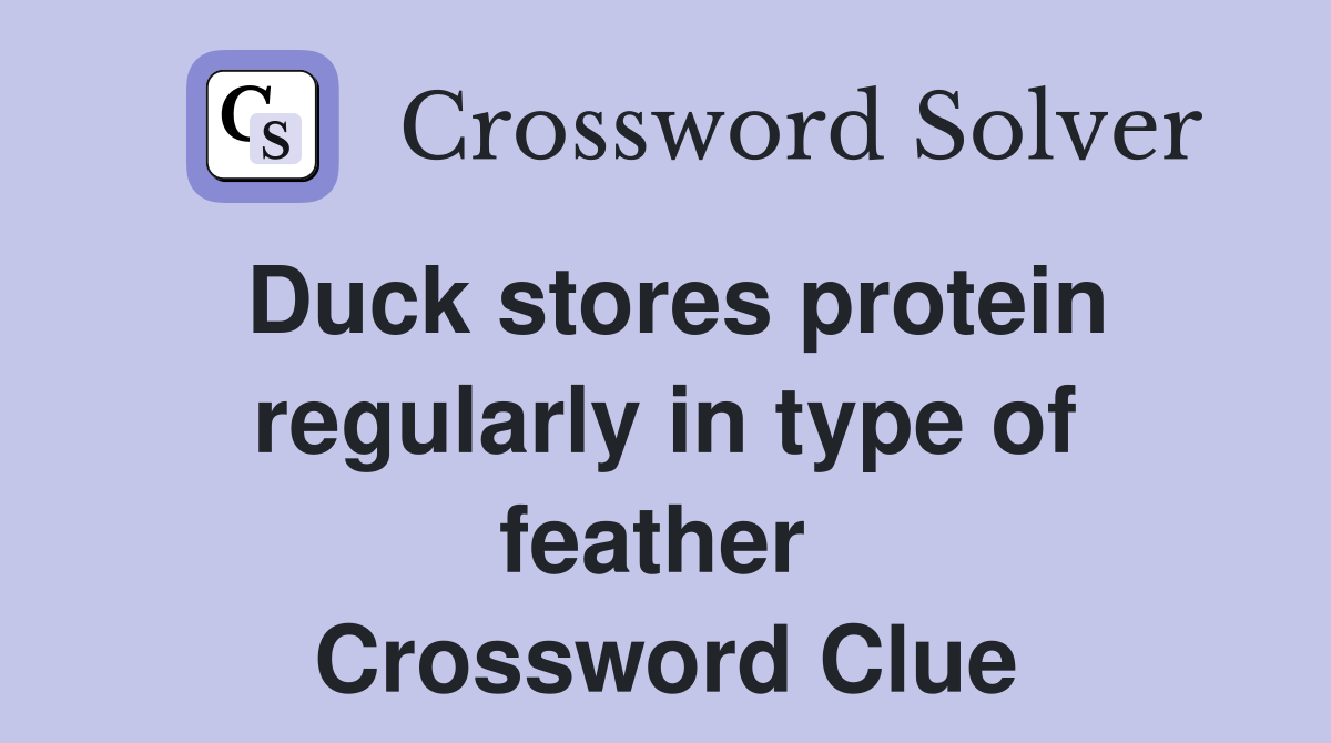 Duck stores protein regularly in type of feather  Crossword Clue