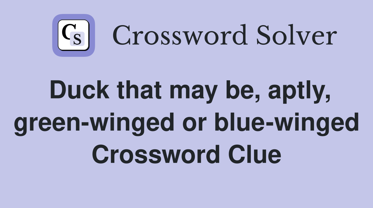 Duck that may be, aptly, green-winged or blue-winged Crossword Clue
