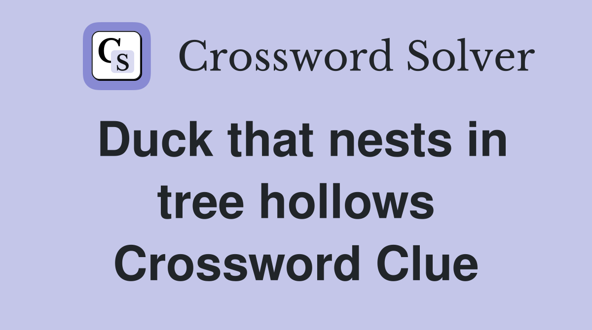 Duck that nests in tree hollows Crossword Clue