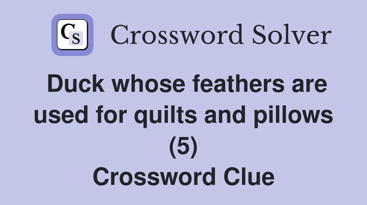 Duck whose feathers are used for quilts and pillows (5) Crossword Clue
