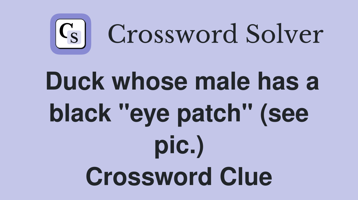 Duck whose male has a black "eye patch" (see pic.) Crossword Clue