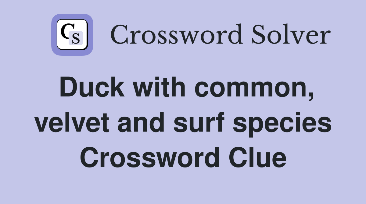 Duck with common, velvet and surf species Crossword Clue