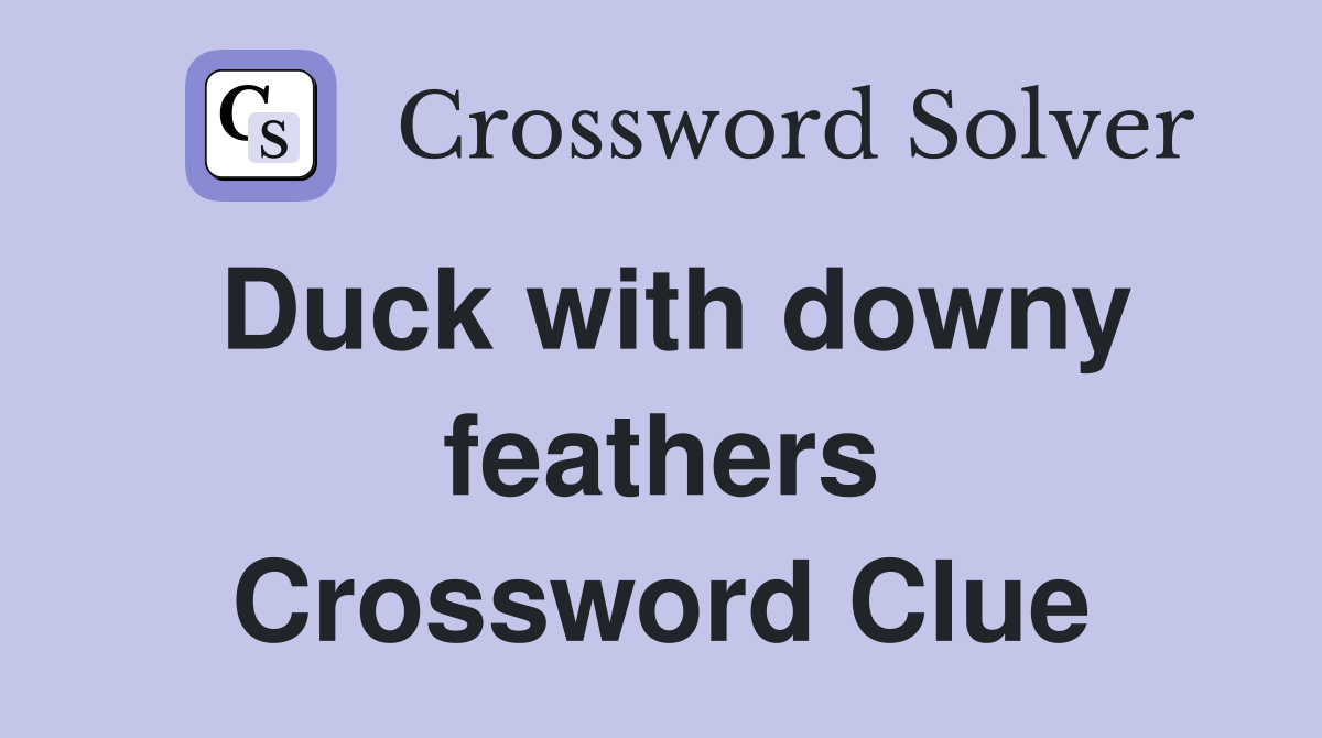 Duck with downy feathers Crossword Clue