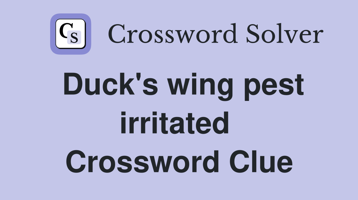 Duck's wing pest irritated  Crossword Clue