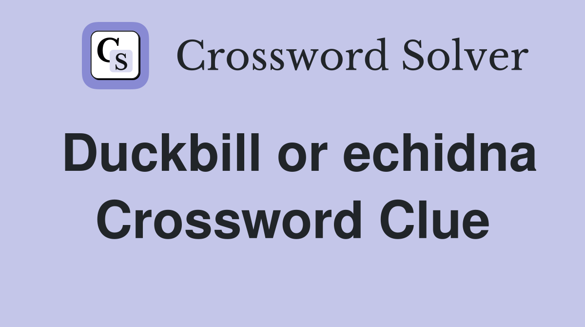 Duckbill or echidna Crossword Clue
