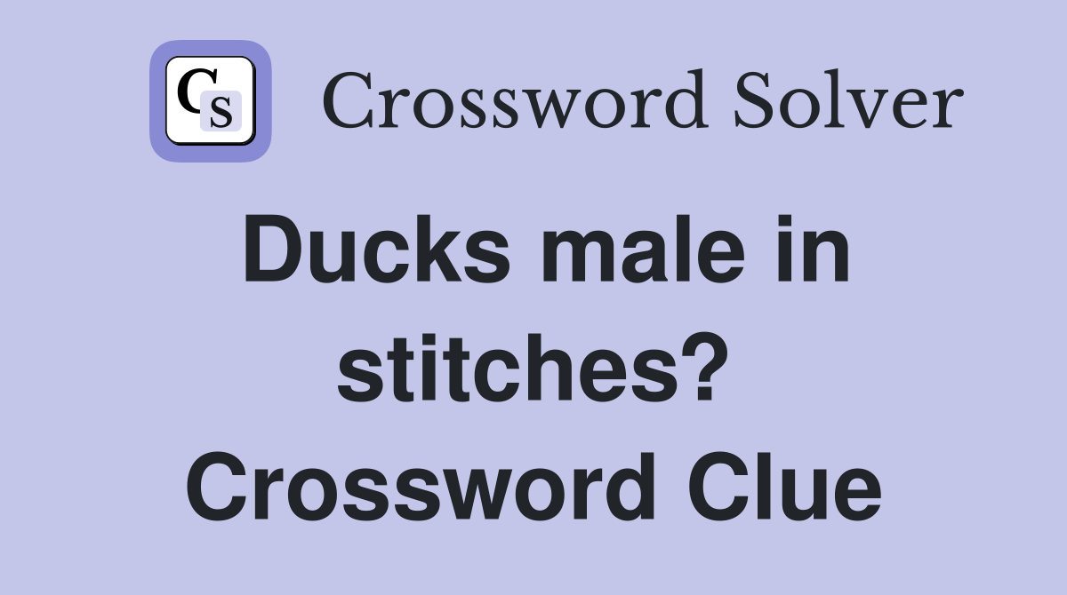 Ducks male in stitches? Crossword Clue