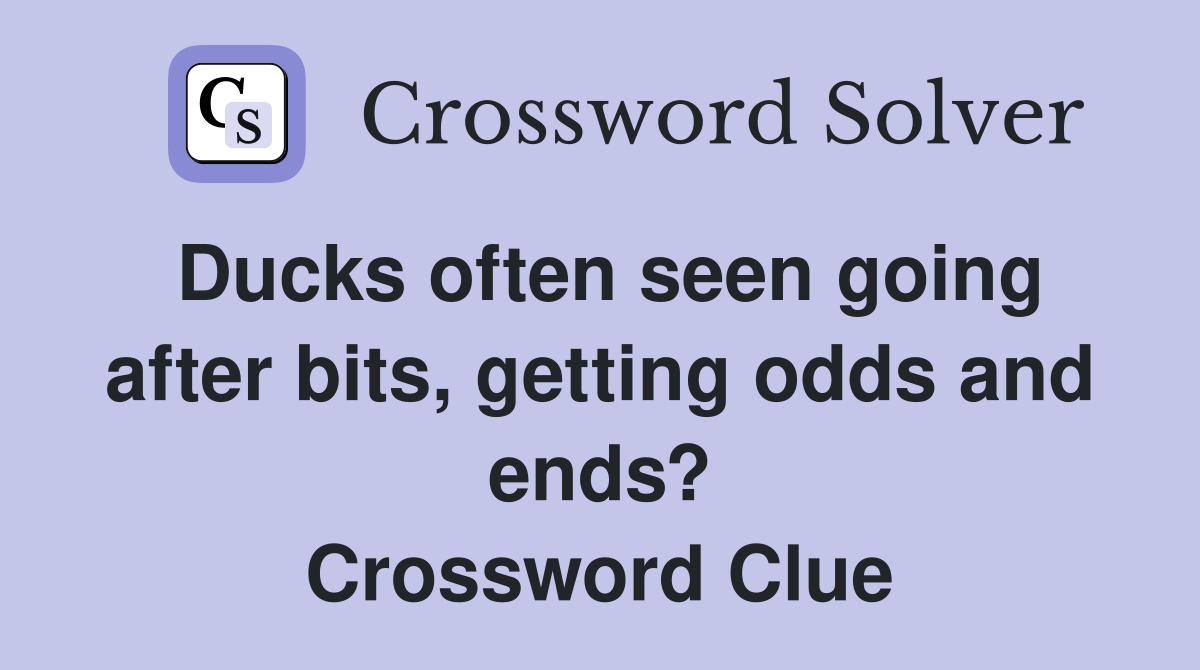 Ducks often seen going after bits, getting odds and ends? Crossword Clue