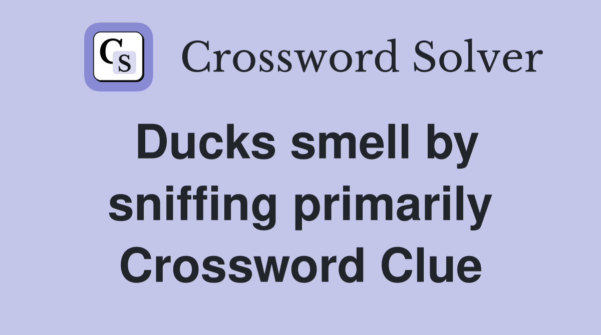 Ducks smell by sniffing primarily Crossword Clue