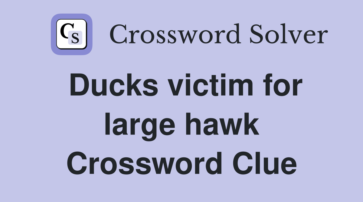 Ducks victim for large hawk Crossword Clue