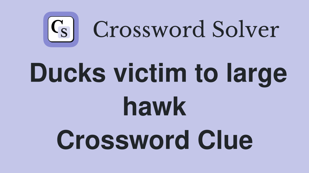 Ducks victim to large hawk Crossword Clue