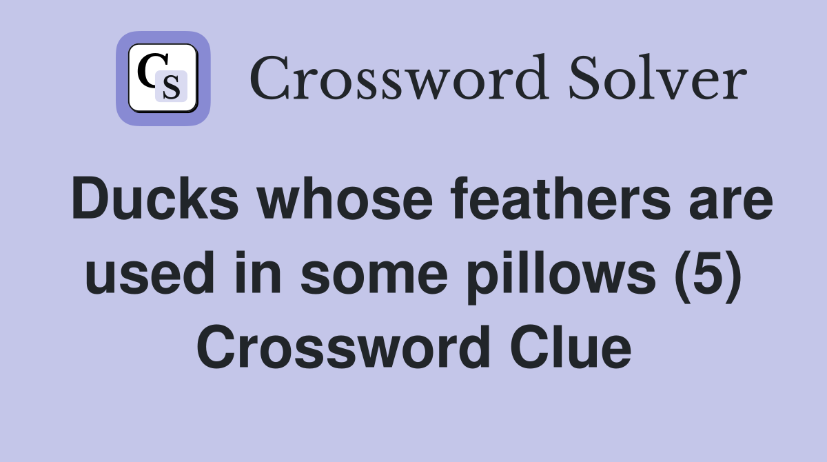 Ducks whose feathers are used in some pillows (5) Crossword Clue
