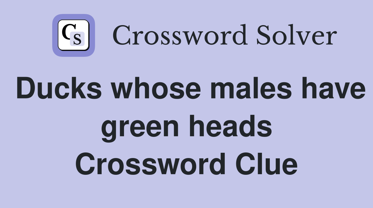 Ducks whose males have green heads Crossword Clue