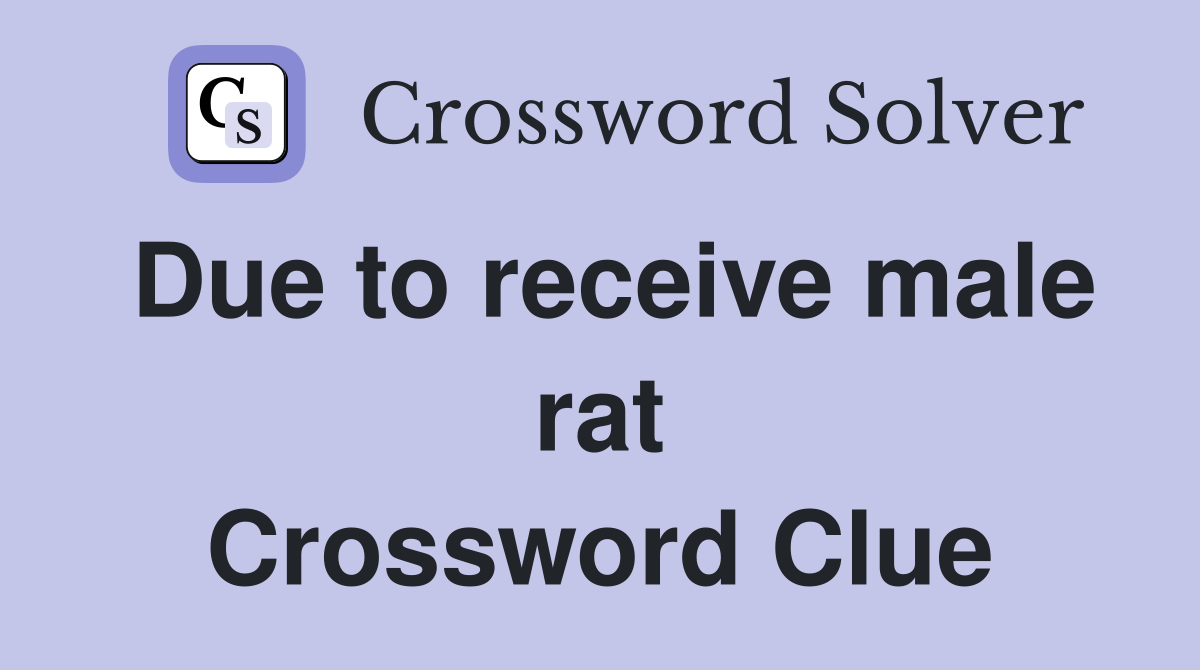 Due to receive male rat Crossword Clue