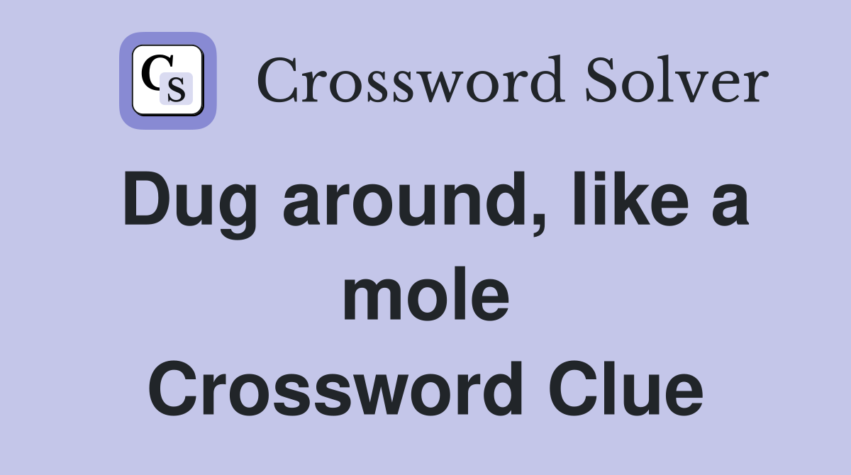 Dug around, like a mole Crossword Clue