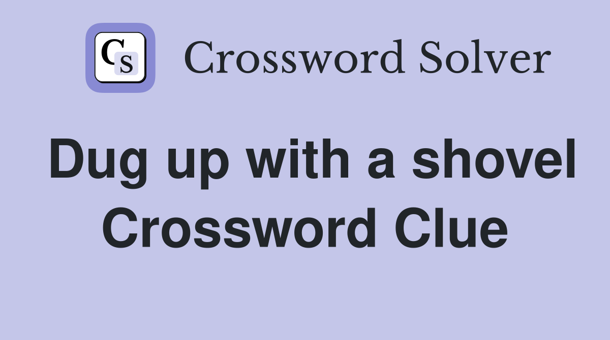 Dug up with a shovel Crossword Clue