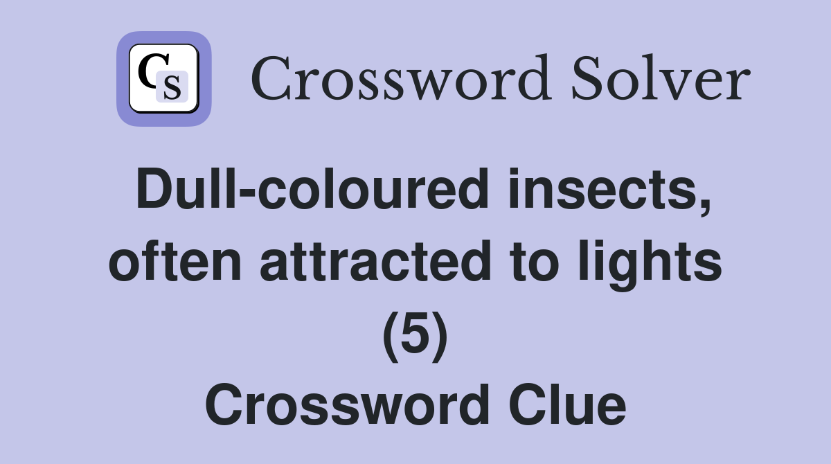Dull-coloured insects, often attracted to lights (5) Crossword Clue