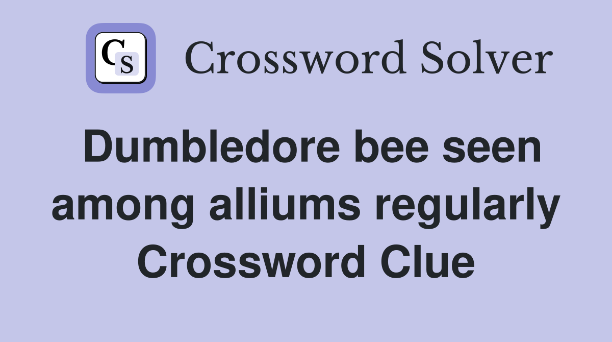 Dumbledore bee seen among alliums regularly Crossword Clue