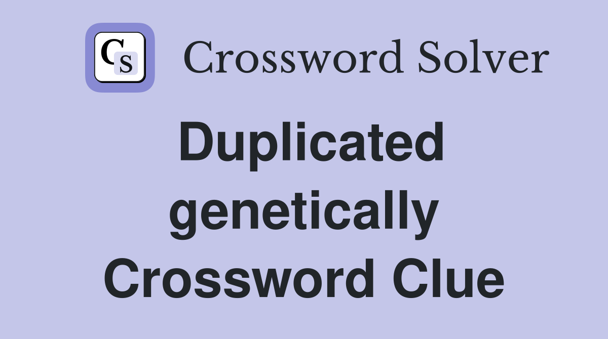 Duplicated genetically Crossword Clue