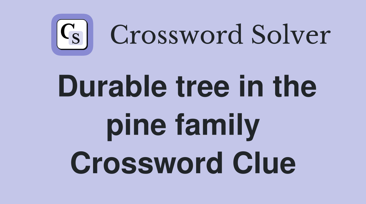 Durable tree in the pine family Crossword Clue