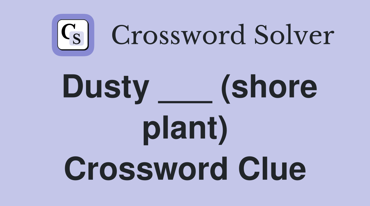 Dusty ___ (shore plant) Crossword Clue