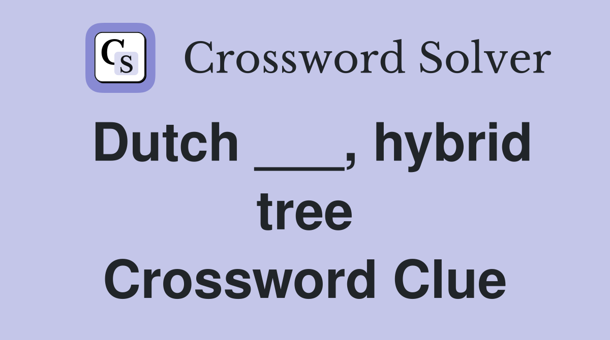 Dutch ___, hybrid tree Crossword Clue