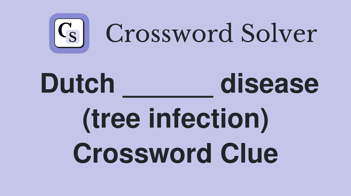 Dutch ______ disease (tree infection) Crossword Clue