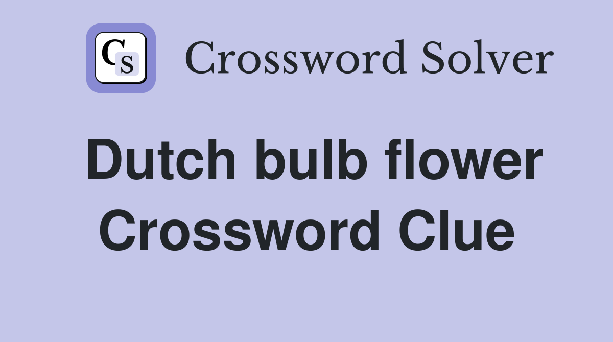 Dutch bulb flower Crossword Clue