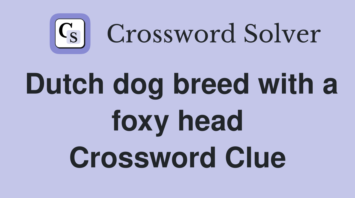Dutch dog breed with a foxy head Crossword Clue
