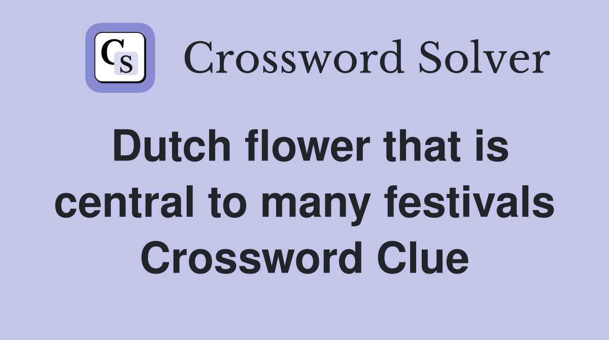 Dutch flower that is central to many festivals Crossword Clue