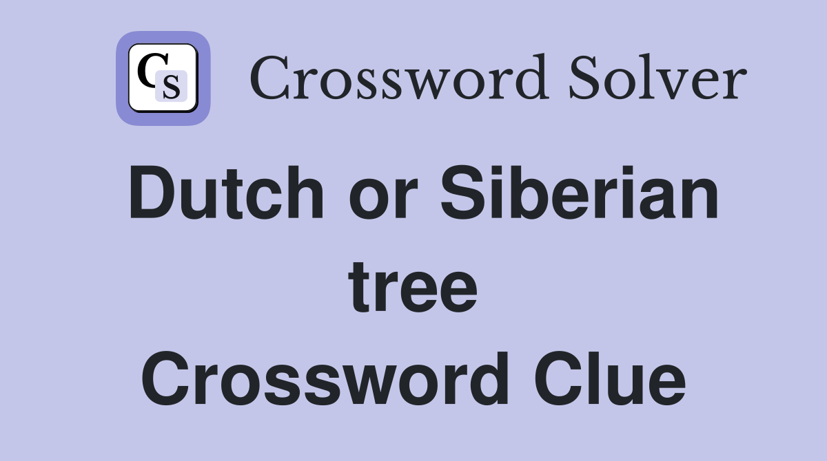 Dutch or Siberian tree Crossword Clue