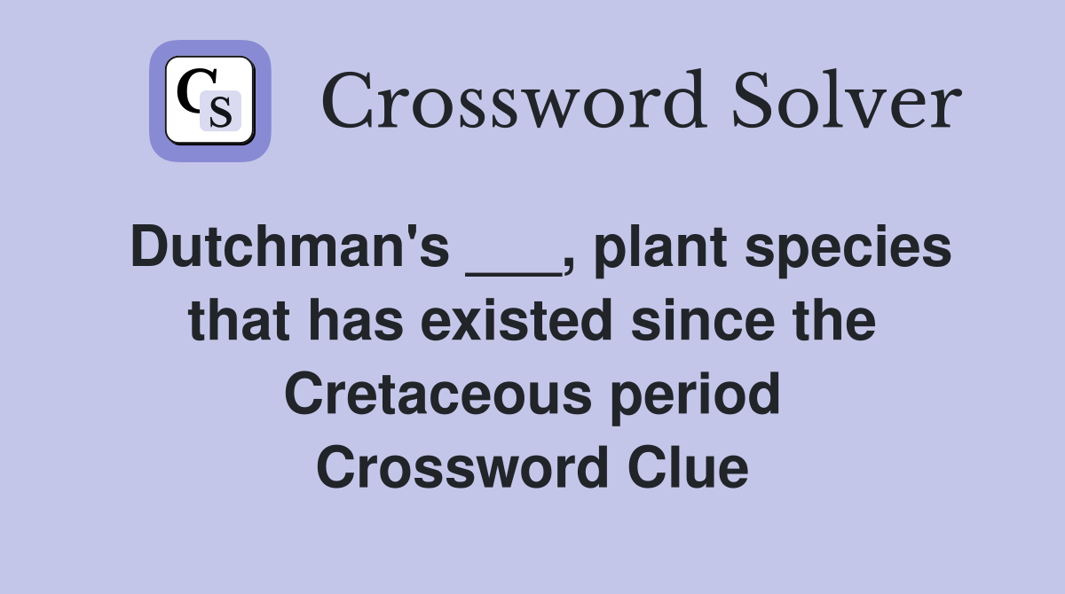Dutchman's ___, plant species that has existed since the Cretaceous period Crossword Clue