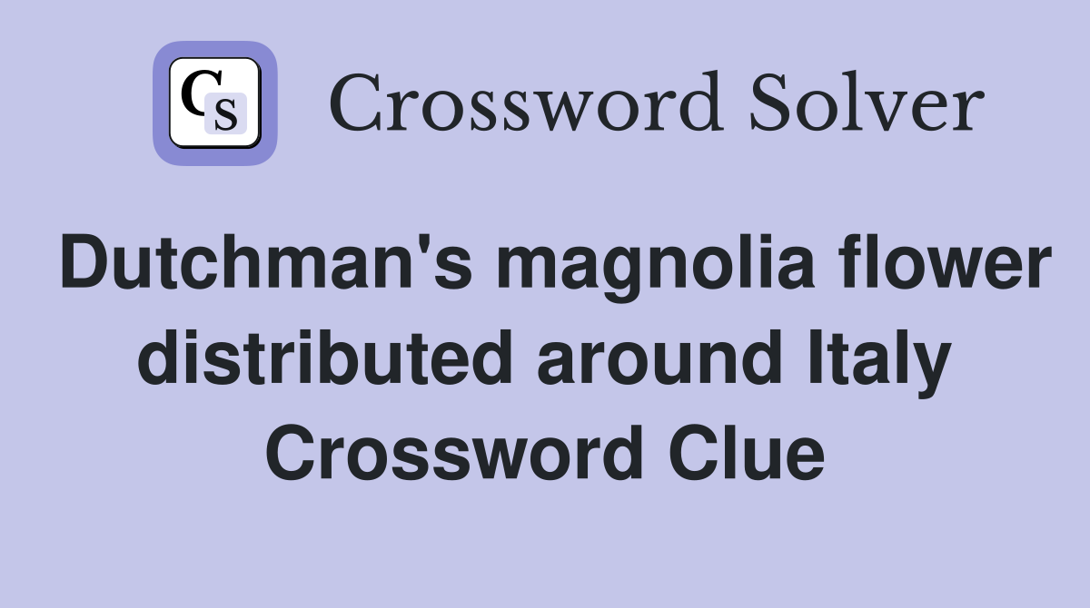Dutchman's magnolia flower distributed around Italy Crossword Clue