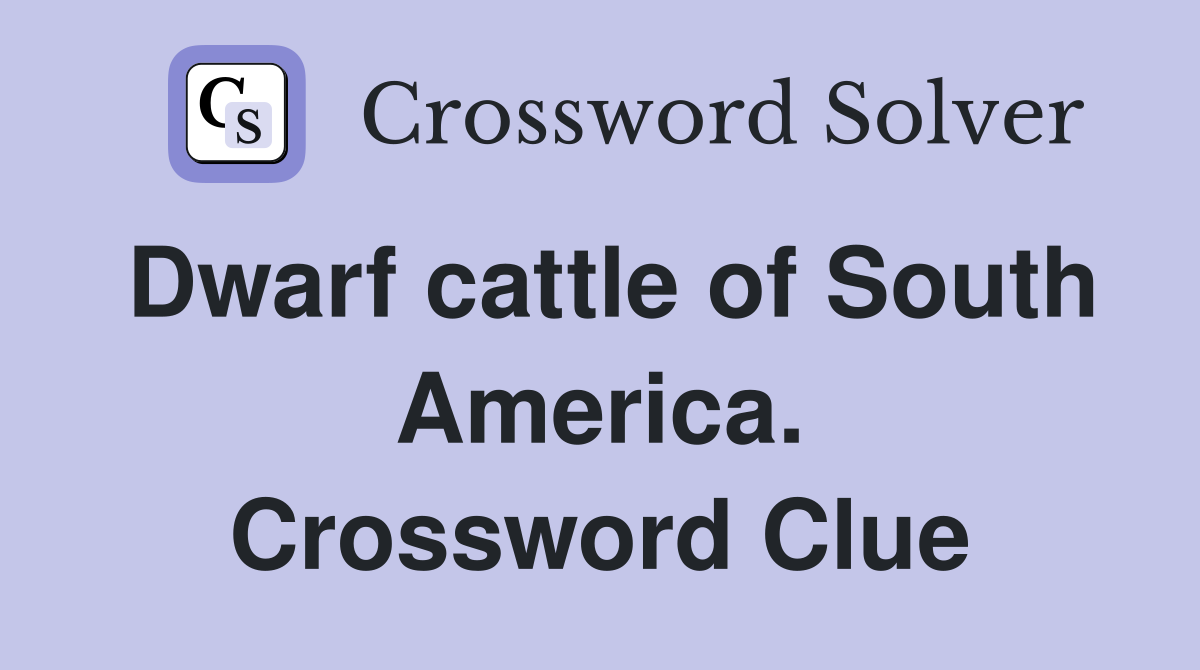 Dwarf cattle of South America. Crossword Clue