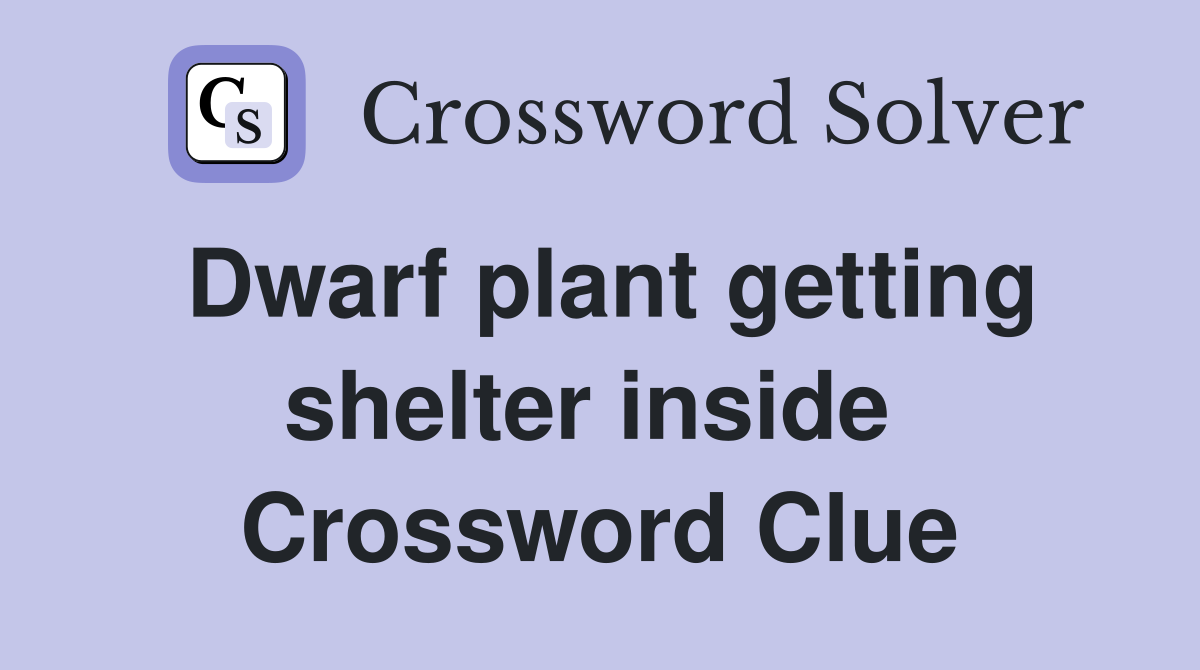 Dwarf plant getting shelter inside  Crossword Clue