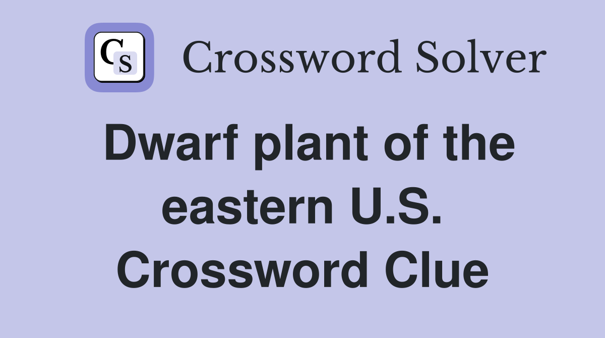 Dwarf plant of the eastern U.S. Crossword Clue