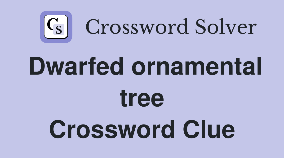 Dwarfed ornamental tree Crossword Clue