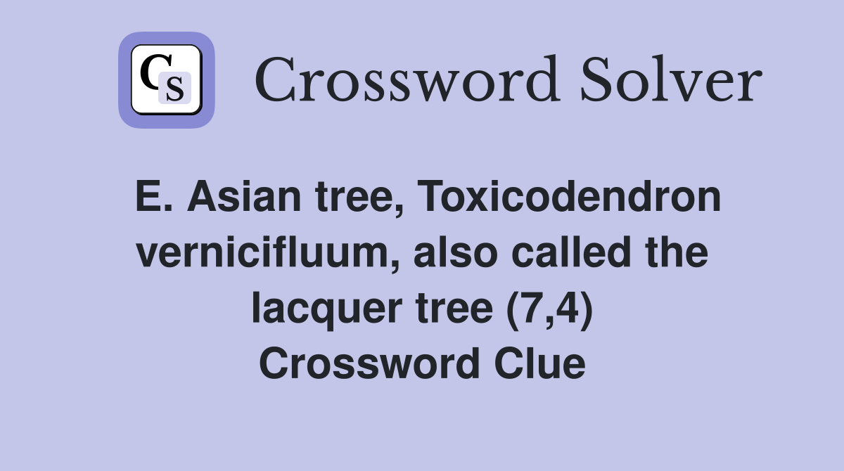E. Asian tree, Toxicodendron vernicifluum, also called the lacquer tree (7,4) Crossword Clue