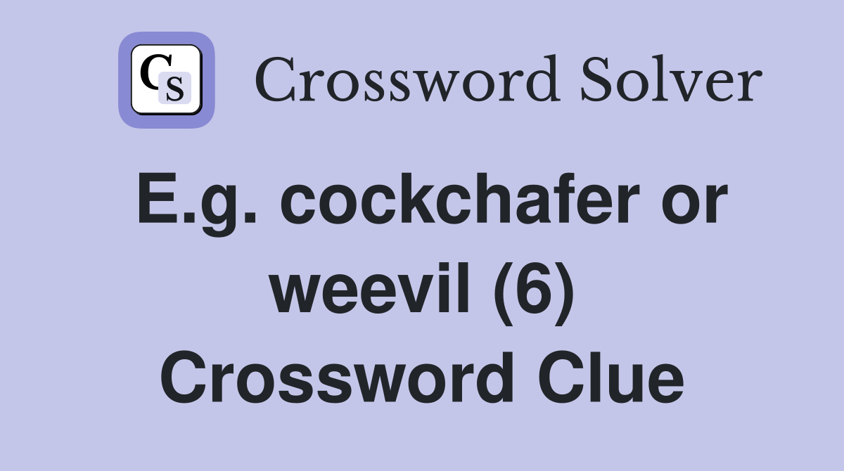 E.g. cockchafer or weevil (6) Crossword Clue
