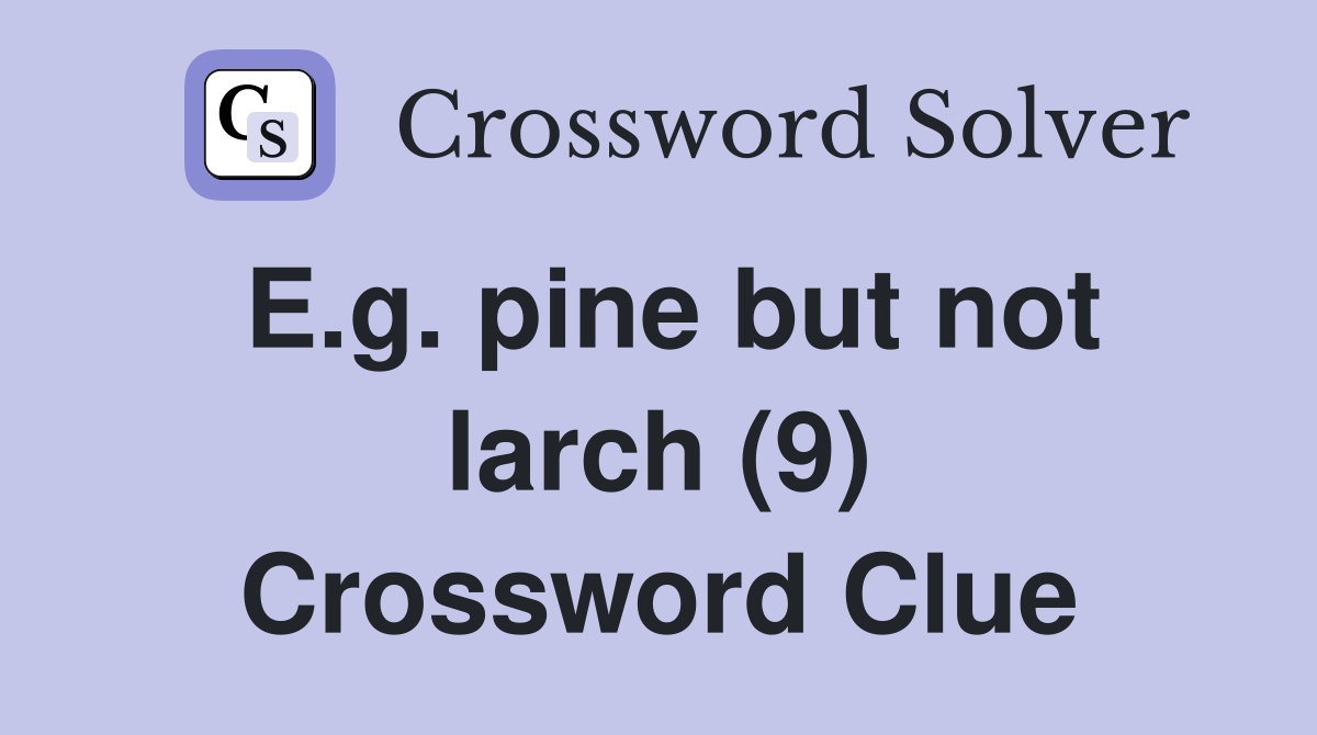 E.g. pine but not larch (9) Crossword Clue