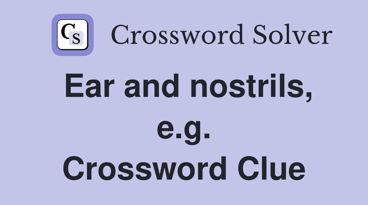 Ear and nostrils, e.g. Crossword Clue