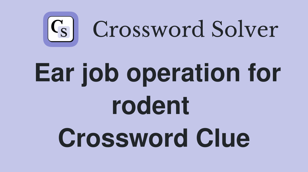 Ear job operation for rodent  Crossword Clue
