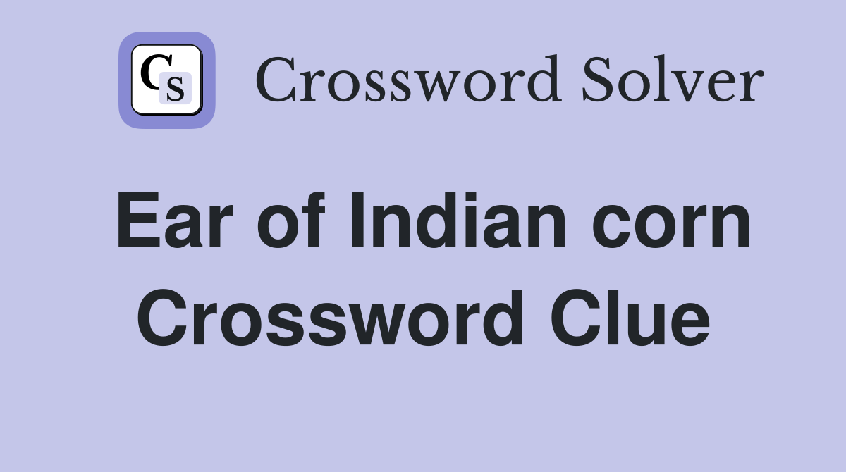 Ear of Indian corn Crossword Clue